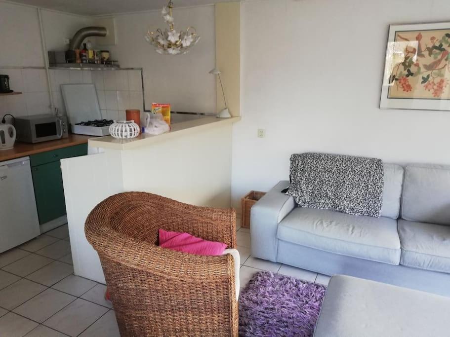 Cottage Egmond-Binnen Met Besloten Tuin מראה חיצוני תמונה
