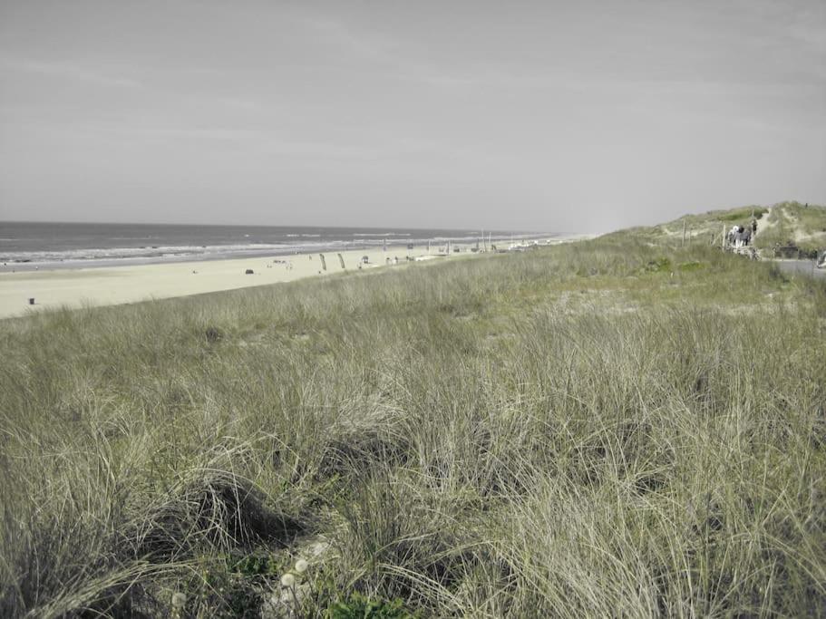 Cottage Egmond-Binnen Met Besloten Tuin מראה חיצוני תמונה
