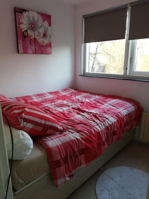 Cottage Egmond-Binnen Met Besloten Tuin מראה חיצוני תמונה