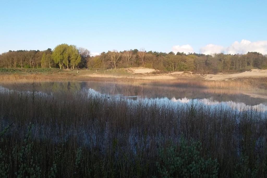 Cottage Egmond-Binnen Met Besloten Tuin מראה חיצוני תמונה