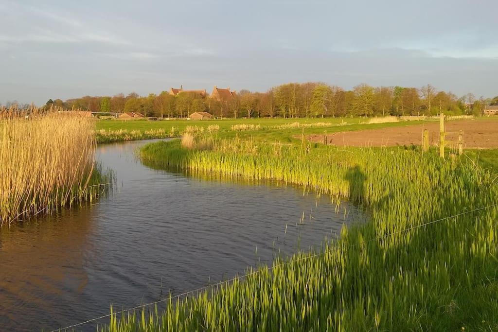 Cottage Egmond-Binnen Met Besloten Tuin מראה חיצוני תמונה