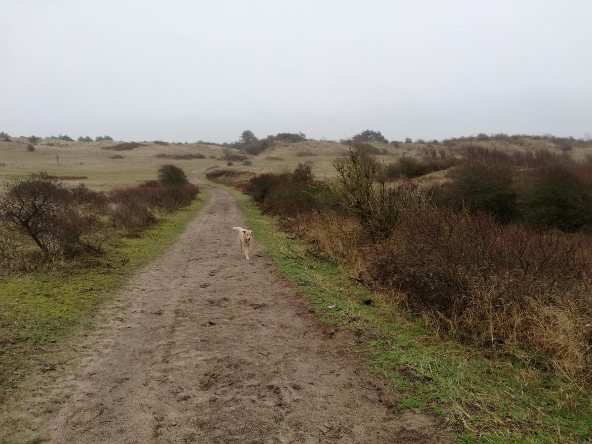 Cottage Egmond-Binnen Met Besloten Tuin מראה חיצוני תמונה