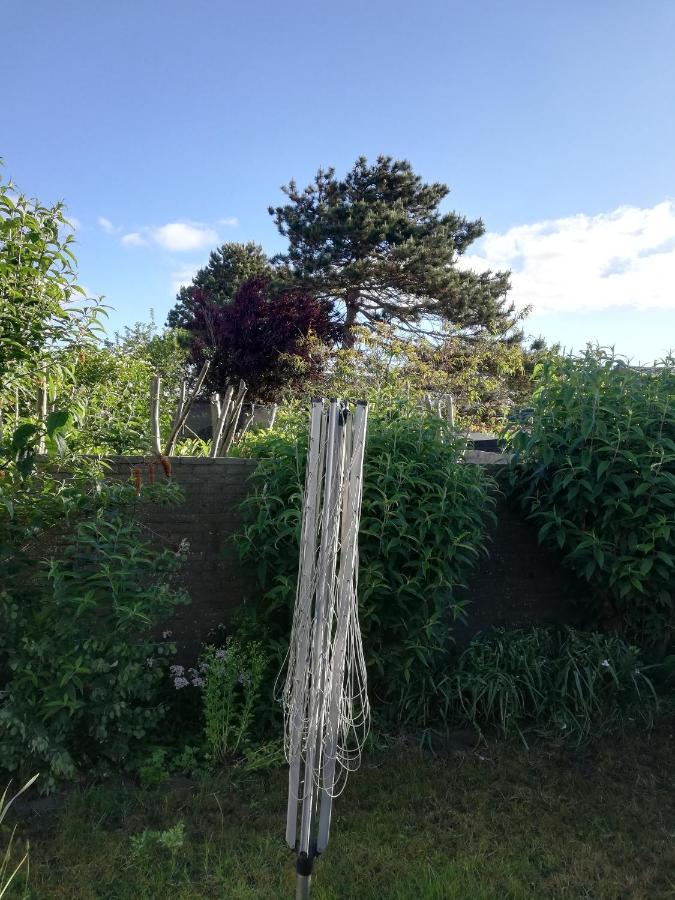Cottage Egmond-Binnen Met Besloten Tuin מראה חיצוני תמונה